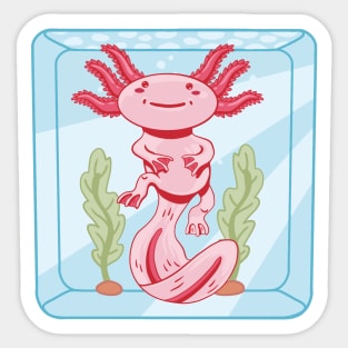 axolotl, axolotl pattern, salamander , salamander shirt, olm, pond newt, lizard , mexican salamander Sticker